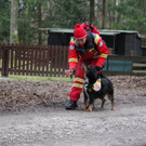 Einsatz Fischlham 03.jpg