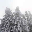 10012012winterde01001aktivnews_79.jpg