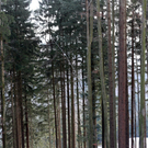 10012012winterde01001aktivnews_16.jpg