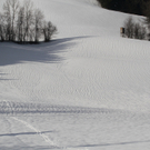 11012012skulpturde01001aktivnews_42.jpg