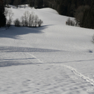 11012012skulpturde01001aktivnews_01.jpg