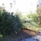 12012012fmt_christbaum_ta_002.JPG