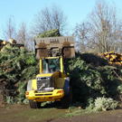 12012012fmt_christbaum_ta_010.JPG