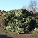 12012012fmt_christbaum_ta_011.JPG
