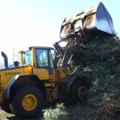 12012012fmt_christbaum_ta_012.JPG