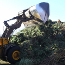 12012012fmt_christbaum_ta_013.JPG