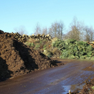 12012012fmt_christbaum_ta_016.JPG