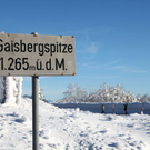 normal_12012012fmt_gaisbergimpressionen_mw_29.JPG