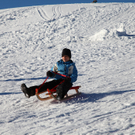 IMG_3320.jpg