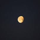 12012012mondimpressionenat_02_001aktivnews__018.JPG