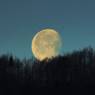 12012012mondimpressionenat_02_001aktivnews__022.JPG