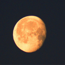 12012012mondimpressionenat_02_001aktivnews_017.JPG