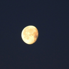 12012012mondimpressionenat_02_001aktivnews_013.JPG
