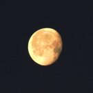 12012012mondimpressionenat_02_001aktivnews_014.JPG