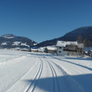 DSC08332.JPG