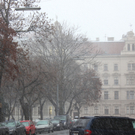 IMG_1007.JPG