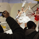 DAB3295-20120111.jpg