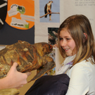 ROE_6081_jpg-1326551908