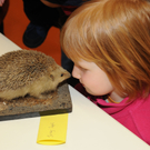 ROE_6142_jpg-1326551925