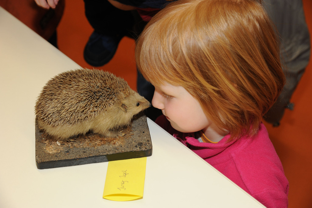 ROE_6142_jpg-1326551925