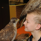 ROE_6157_jpg-1326551931