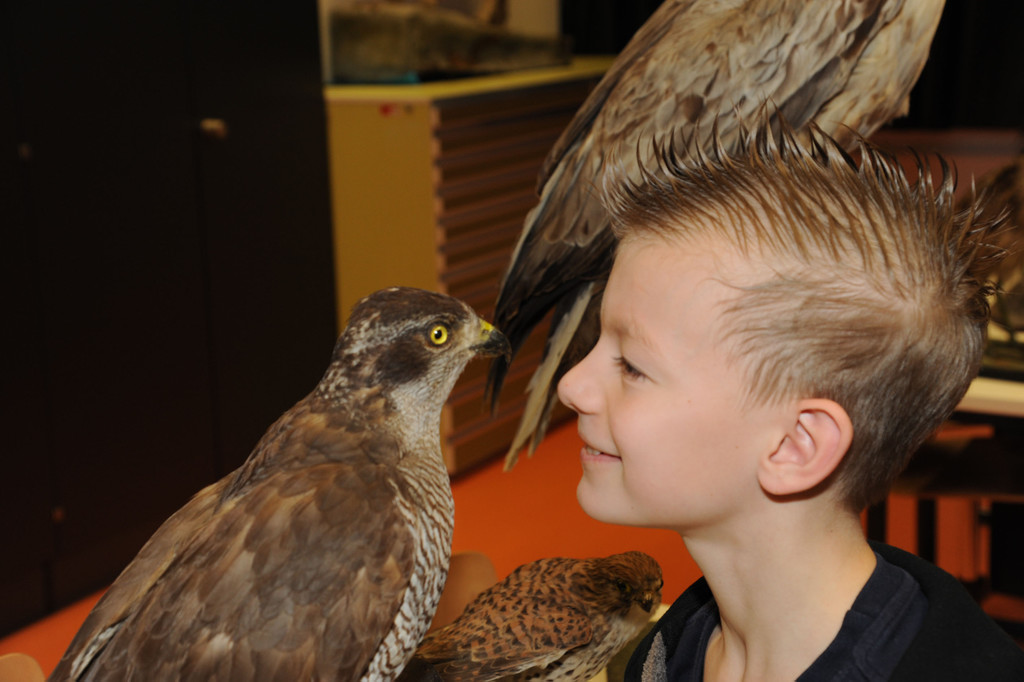 ROE_6157_jpg-1326551931