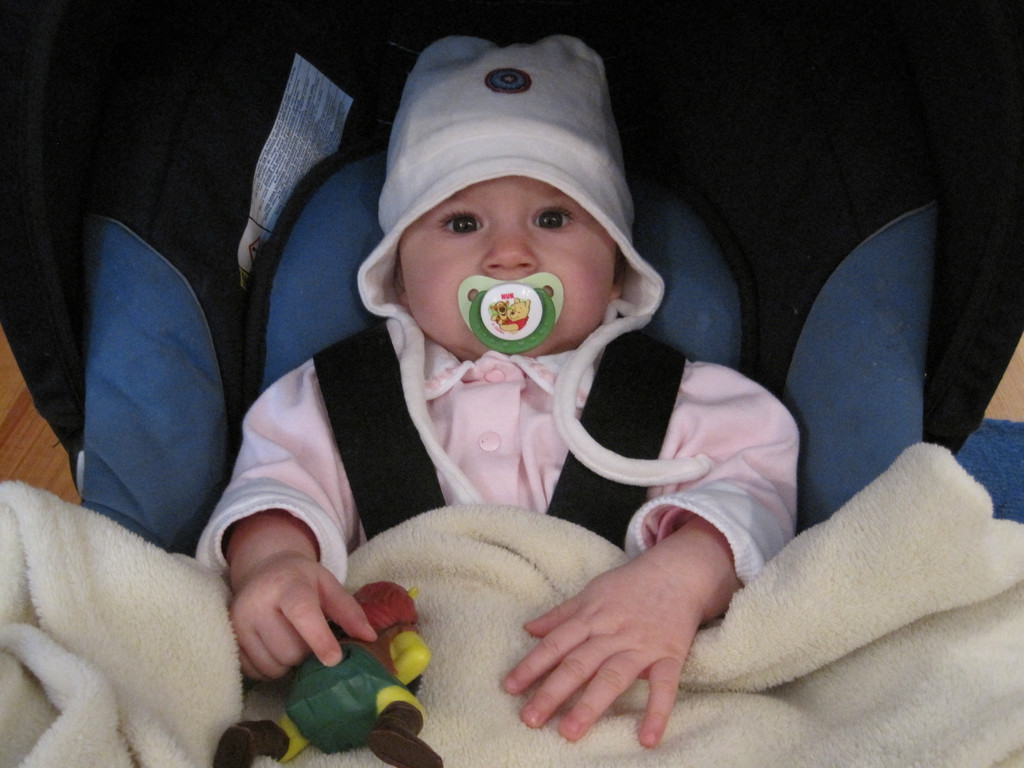 IMG_1667_JPG-1326573733