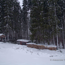 Orkanschaeden-008.jpg