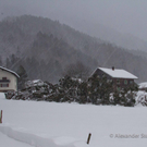 Orkanschaeden-016.jpg