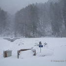Orkanschaeden-102.jpg