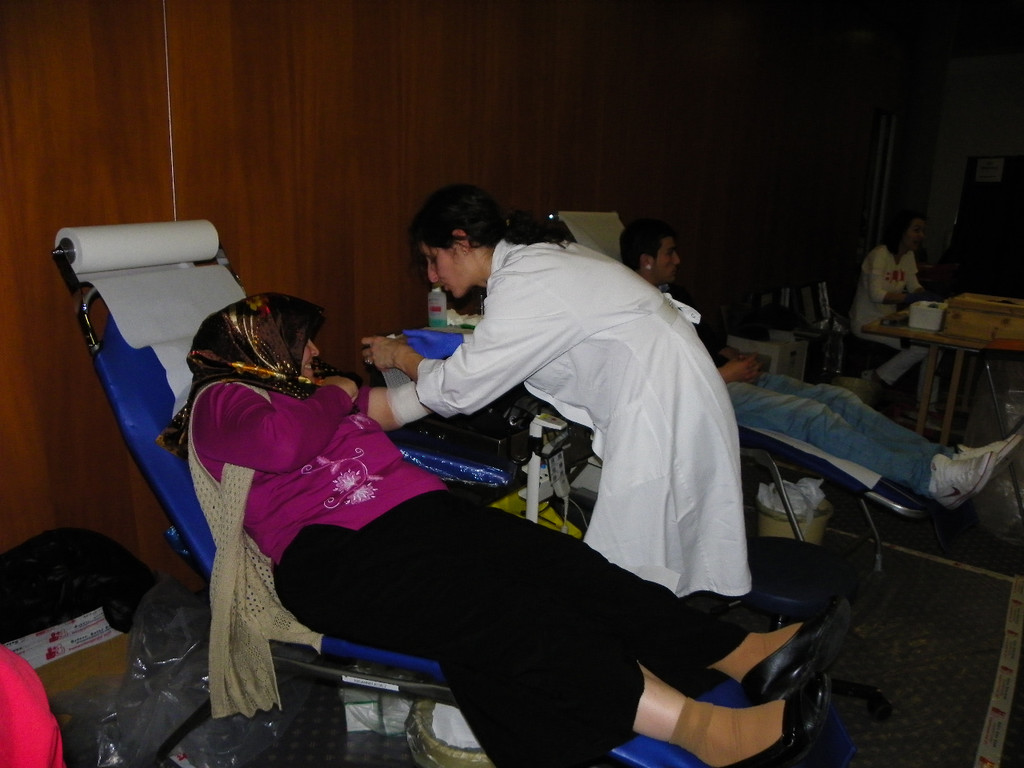 113_5619_JPG-1326585775