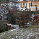 normal_271209walsfmaktivnews_01.jpg