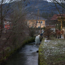 normal_271209walsfmaktivnews_02.jpg
