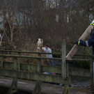 normal_271209walsfmaktivnews_05.jpg