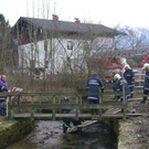 normal_271209walsfmaktivnews_06.jpg