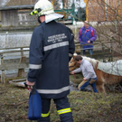normal_271209walsfmaktivnews_11.jpg