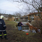 normal_271209walsfmaktivnews_15.jpg