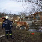 normal_271209walsfmaktivnews_18.jpg