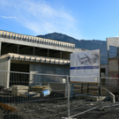 P1010017.JPG