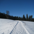 Winterwandern am Pfaender 2012 _2__jpg-1326644111