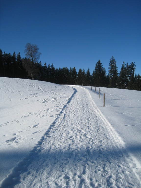 Winterwandern am Pfaender 2012 _2__jpg-1326644111