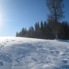 Winterwandern am Pfaender 2012 _3__jpg-1326644115