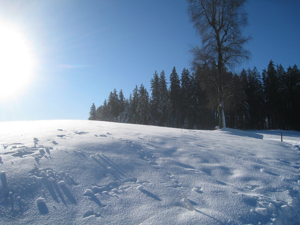 Winterwandern am Pfaender 2012 _3__jpg-1326644115