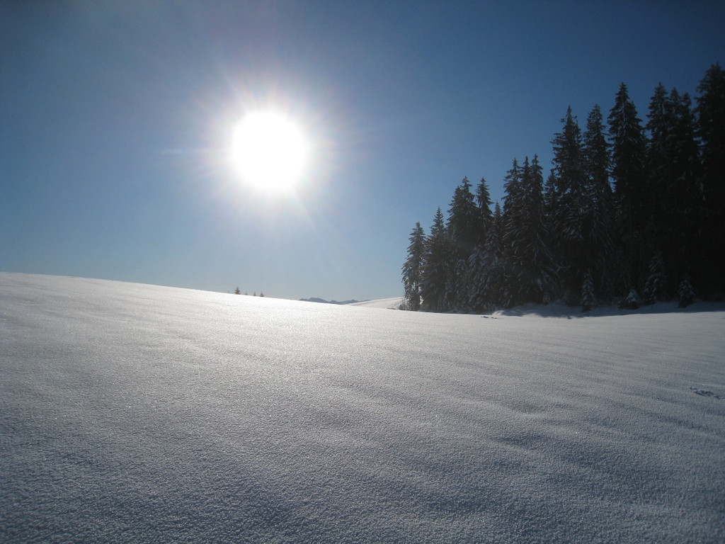 Winterwandern am Pfaender 2012 _4__jpg-1326644119