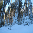 Winterwandern am Pfaender 2012 _6__jpg-1326644130