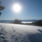 Winterwandern am Pfaender 2012 _7__jpg-1326644134