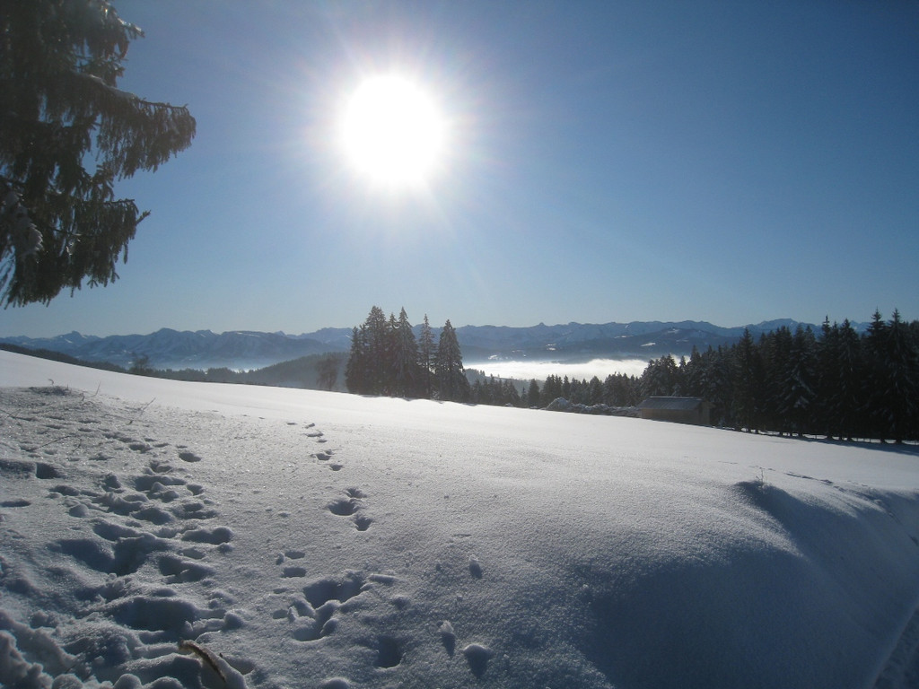 Winterwandern am Pfaender 2012 _7__jpg-1326644134