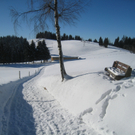 Winterwandern am Pfaender 2012 _8__jpg-1326644138