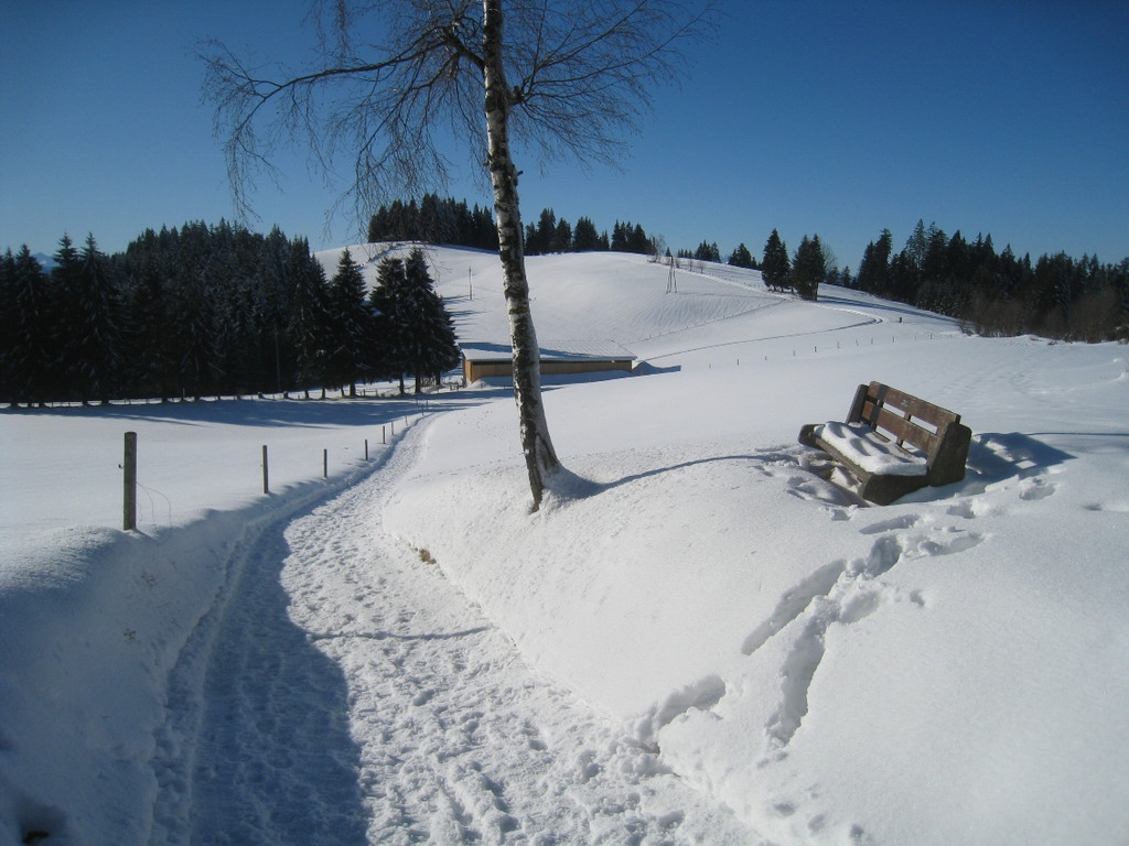 Winterwandern am Pfaender 2012 _8__jpg-1326644138