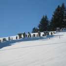 Winterwandern am Pfaender 2012 _10__jpg-1326644145